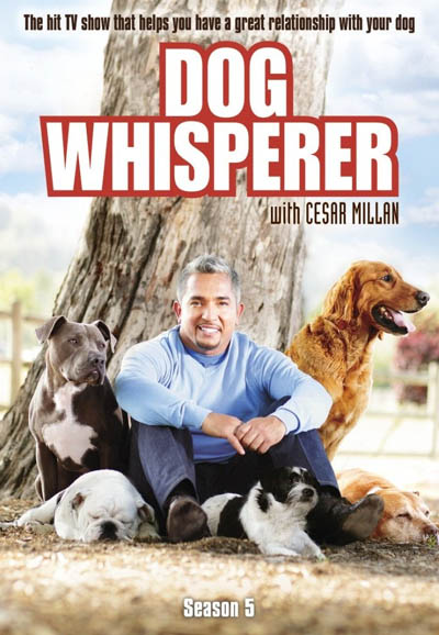 Dog Whisperer - Season 5 [81856] (A1772185185) [[Shows 2.0]] --Plex--